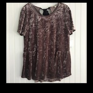 Anthropologie Pleione crushed velour taupe, short sleeve top SIZE MEDIUM
